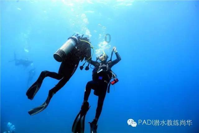 白酒：蒸馏技术的原理与实践